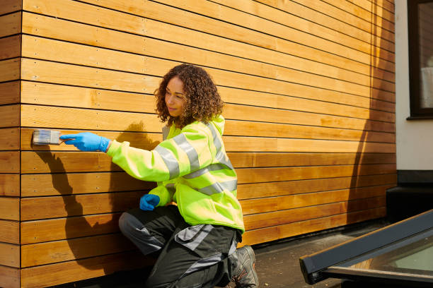 Best Siding Removal and Disposal  in Prosperity, WV